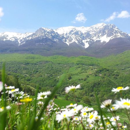 فيلا La Via Del Parco Arsita المظهر الخارجي الصورة
