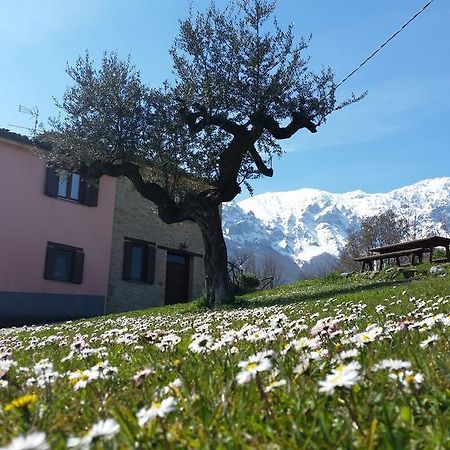 فيلا La Via Del Parco Arsita المظهر الخارجي الصورة