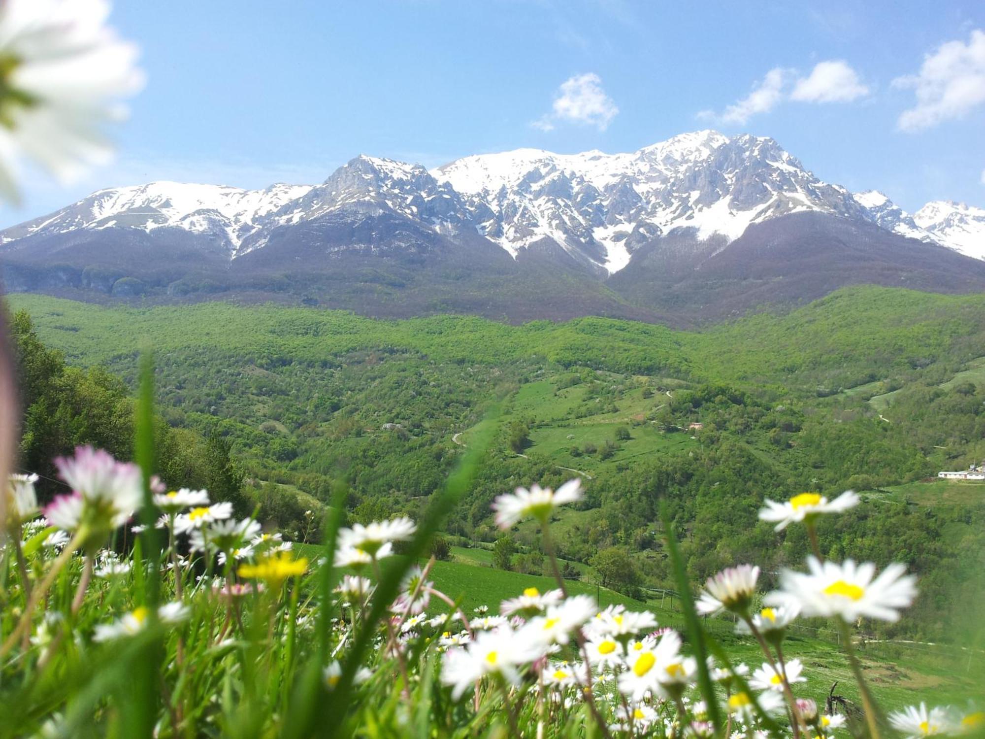 فيلا La Via Del Parco Arsita المظهر الخارجي الصورة