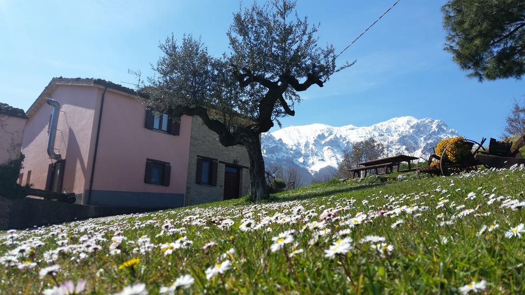 فيلا La Via Del Parco Arsita المظهر الخارجي الصورة